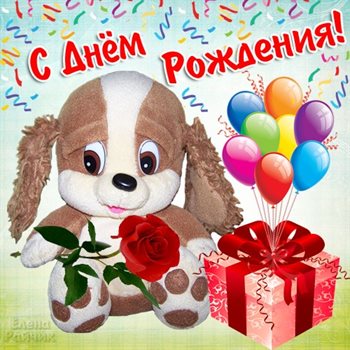 Немного тепла и заботы
