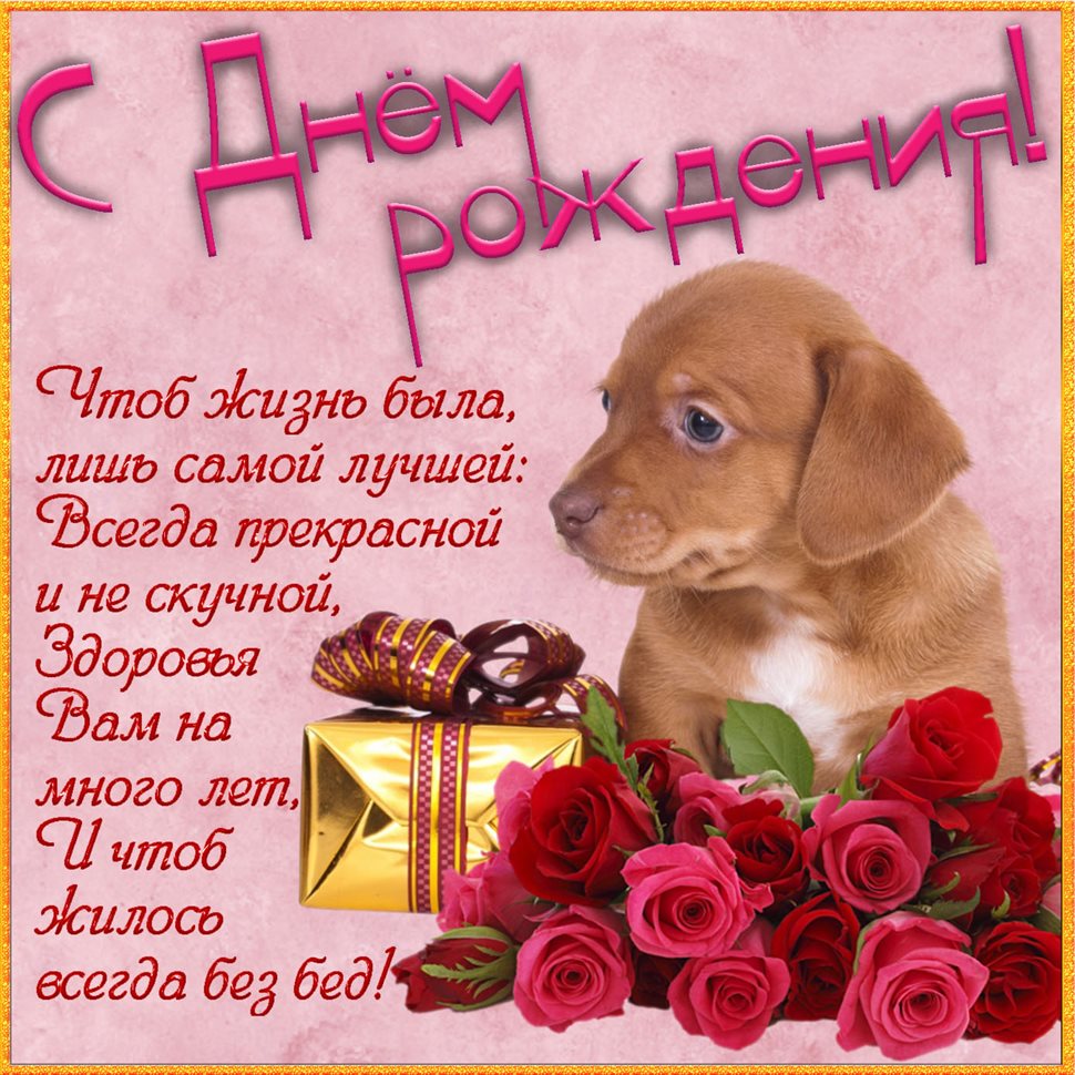 Тепло и счастье в каждом моменте