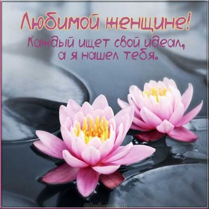 Нежные поздравления для Открытки с Днем Рождения на телефон