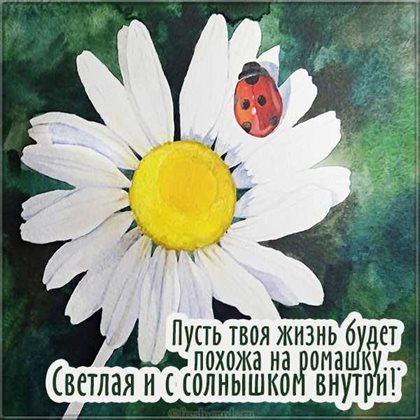 Немного волшебства в ваш день
