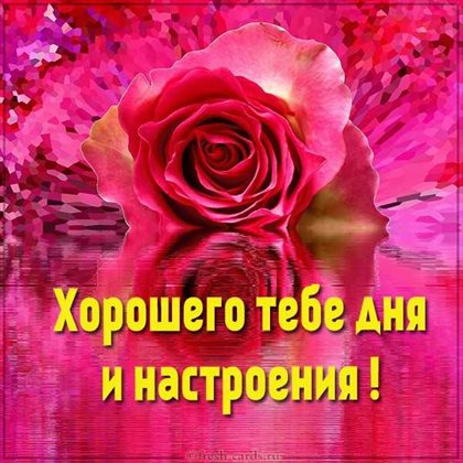 Светлые пожелания