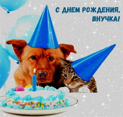 Немного тепла и заботы