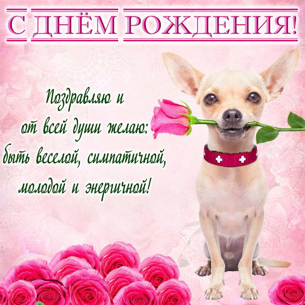 Позитивные эмоции для Открытки учительнице с Днем Рождения