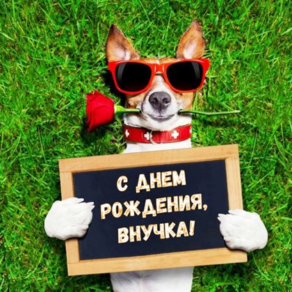 Больше радости в жизни