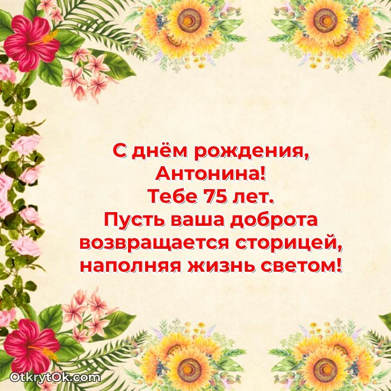 Тёплые слова Антонине