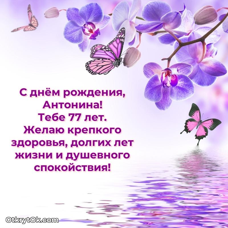 Картинка с юбилеем Антонине 77 лет прикольная — открытка Антонине