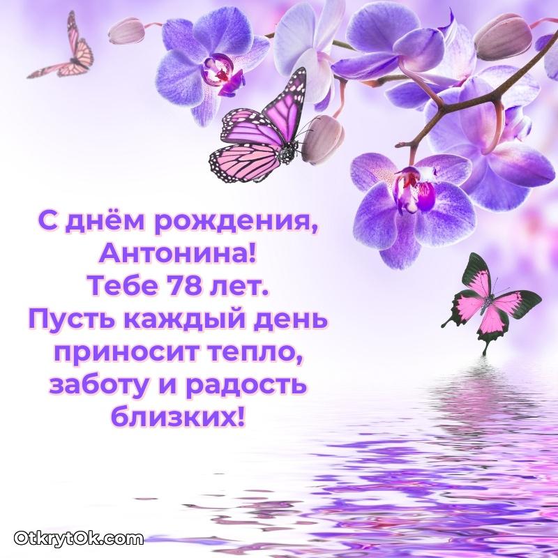 Открытка с Днем Рождения Антонине 78 лет