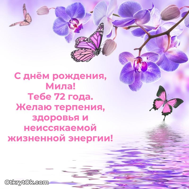 Тёплые слова Миле