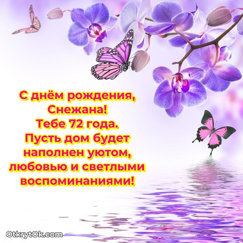Современная открытка поздравление Снежане с Днем Рождения на 72 года