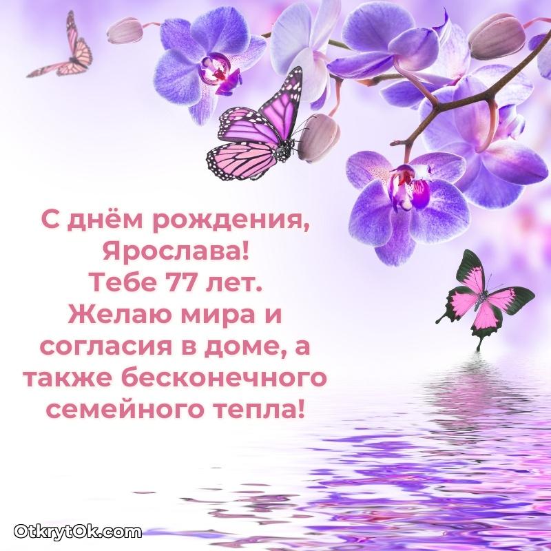 Открытка с Днем Рождения Ярославе 77 лет