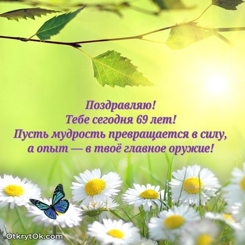 Прикольные картинки и поздравления близкому человеку 69 лет