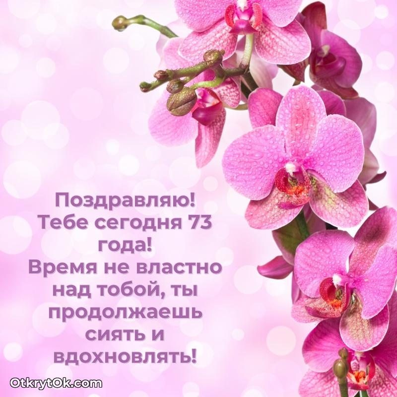 Прикольные картинки и поздравления бабушке 73 года