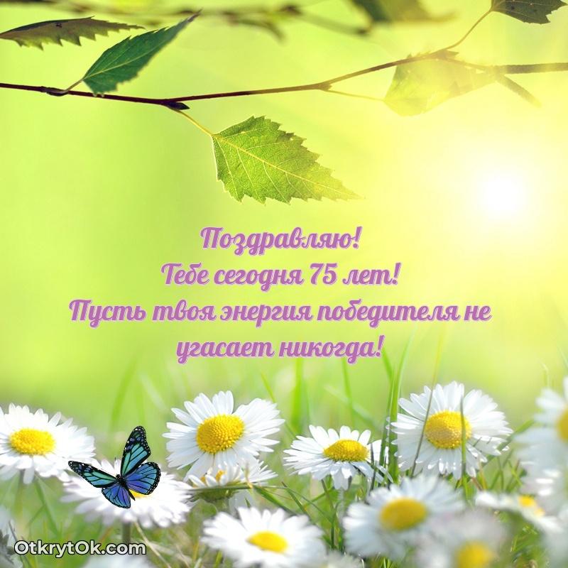 Прикольные картинки и поздравления бабушке 75 лет поздравление Алине 75 лет