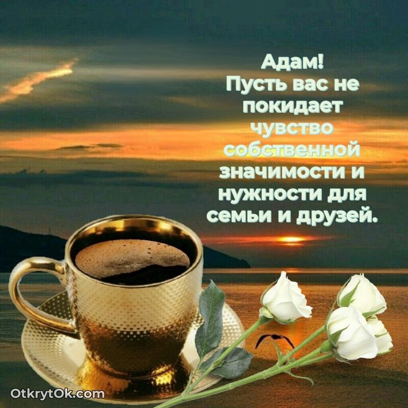 Короткое пожелание Адаму