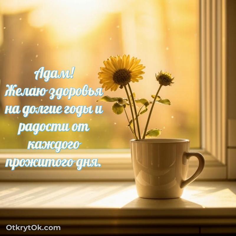 Пожелание Адаму открытка на 70 лет