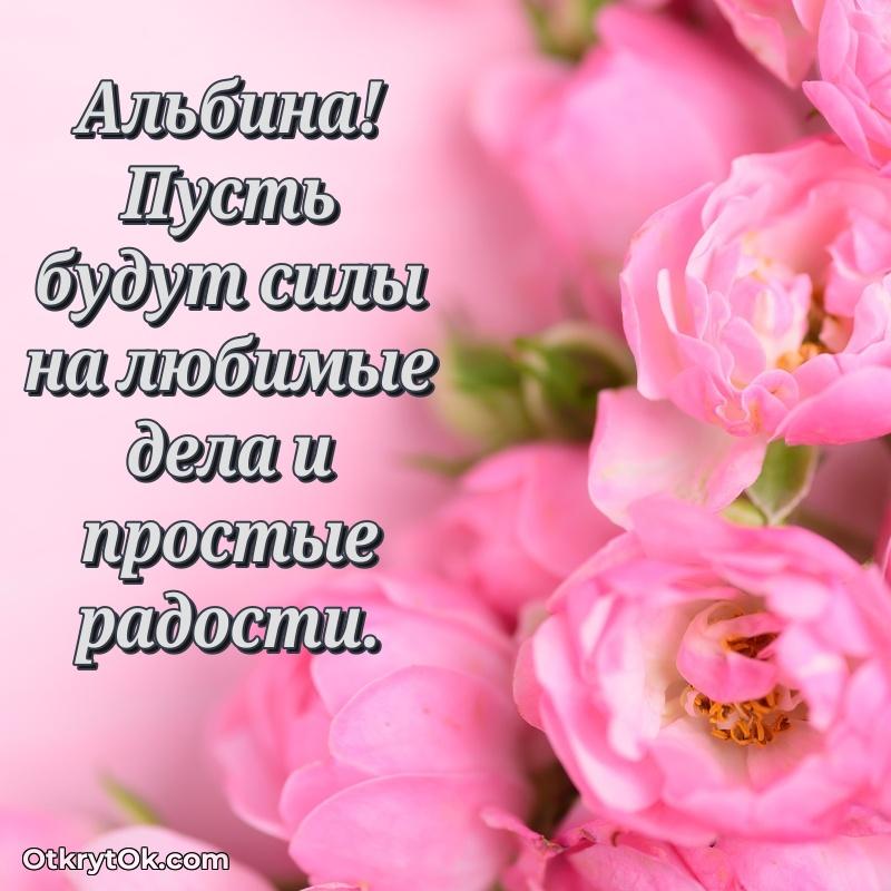 Картинка — поздравление Альбине на 69 лет