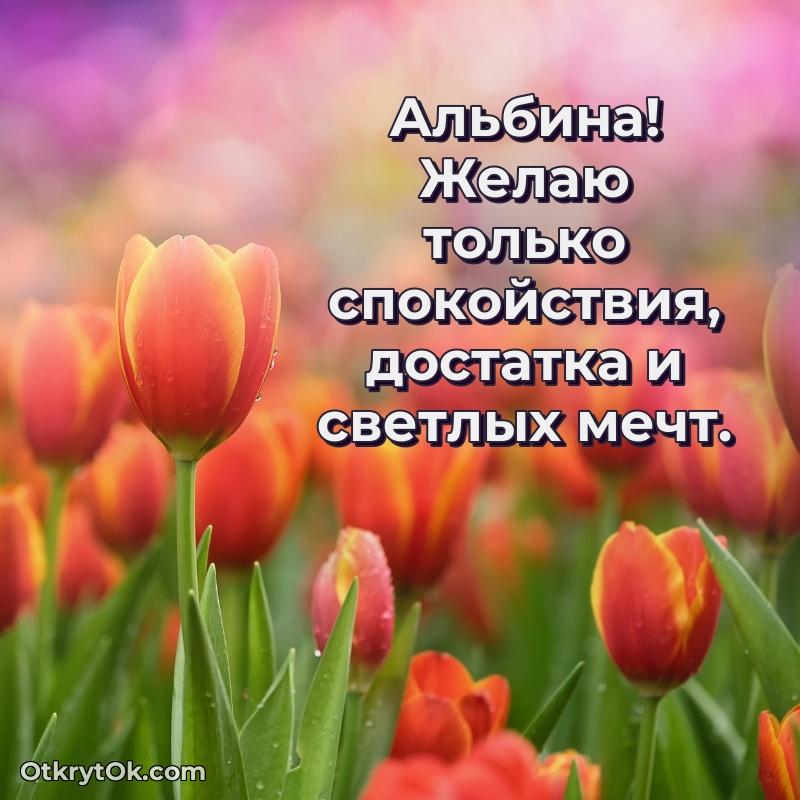 Мини — открытка человеку