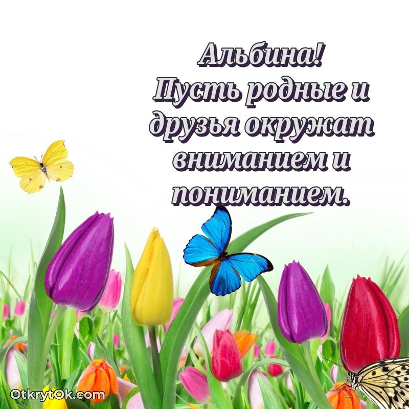 Красочная поздравительная открытка