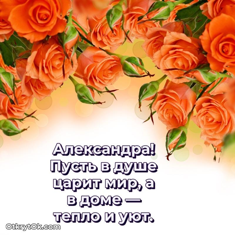 Открытка Александре праздничная