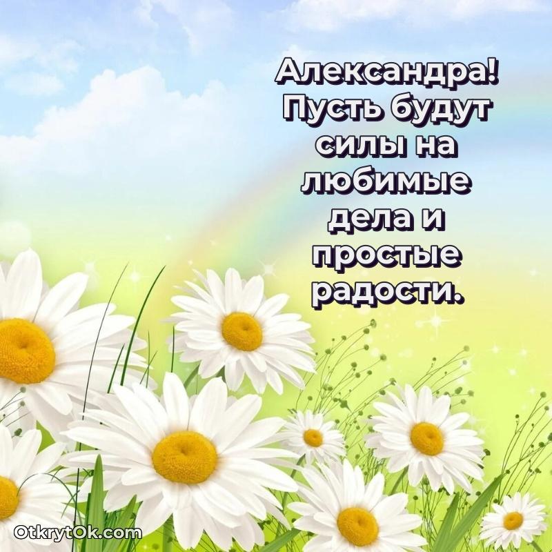 Рисунок и пожелание Александре 78 лет