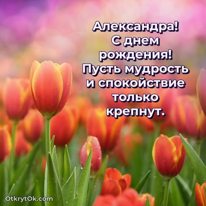Открытка с пожеланиями Александре для ватсапа