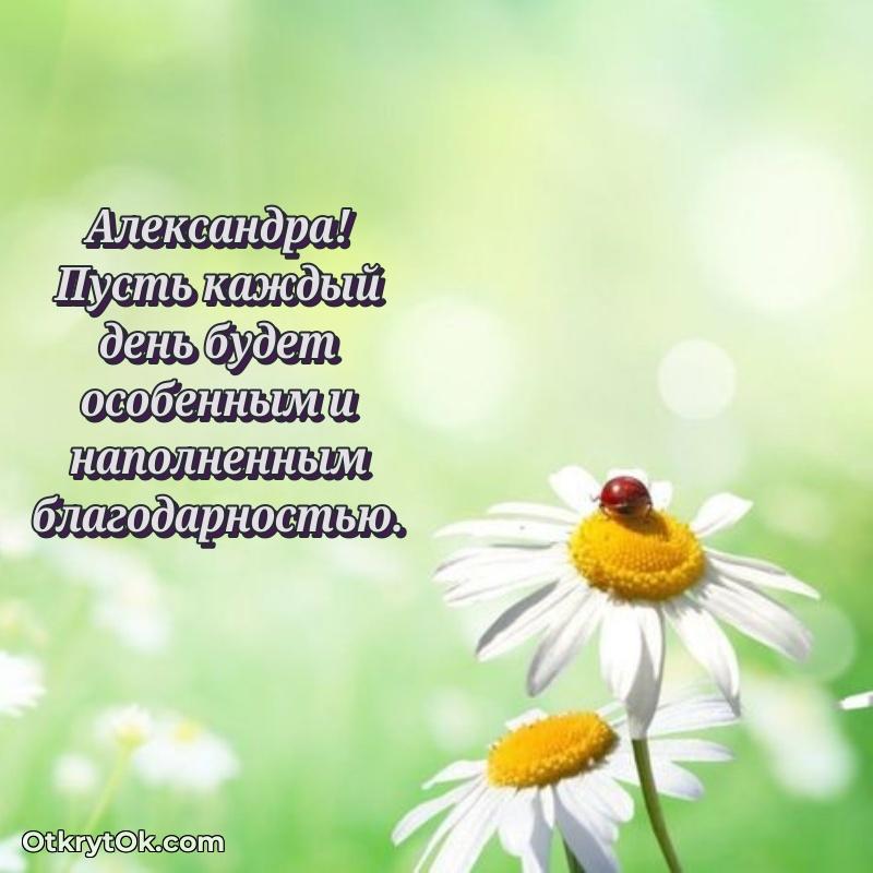 Небольшая открытка с пожеланием Александре