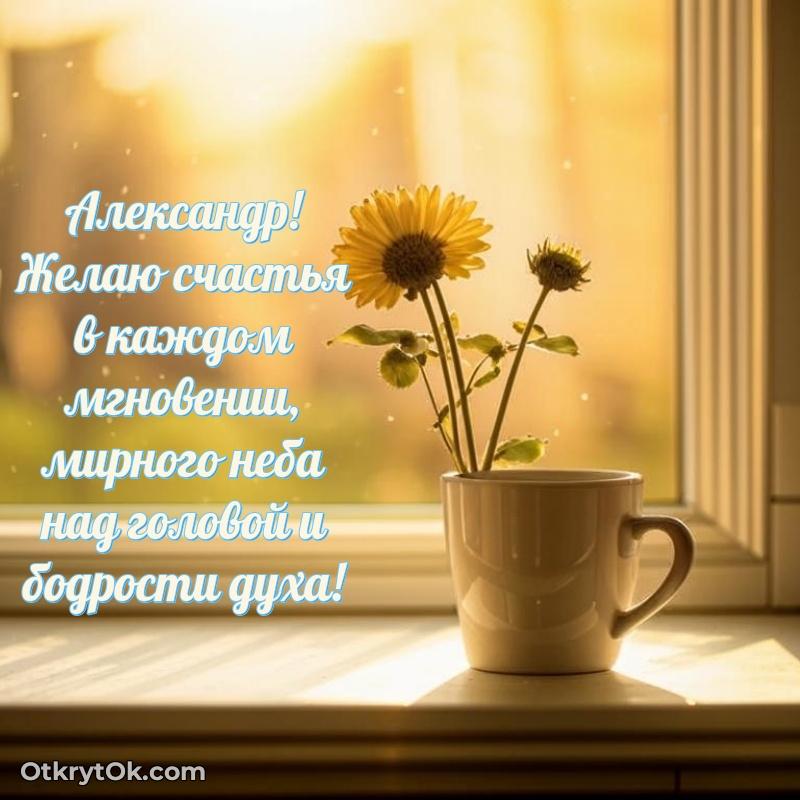 Скачать открытку Александру 82 года