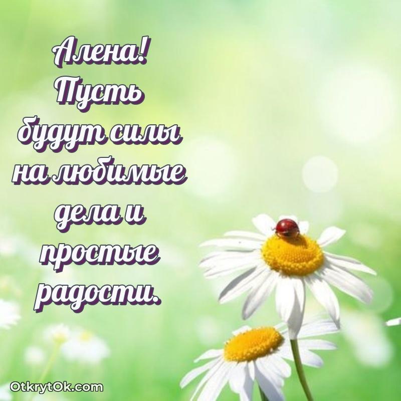 Иллюстрация для поздравления