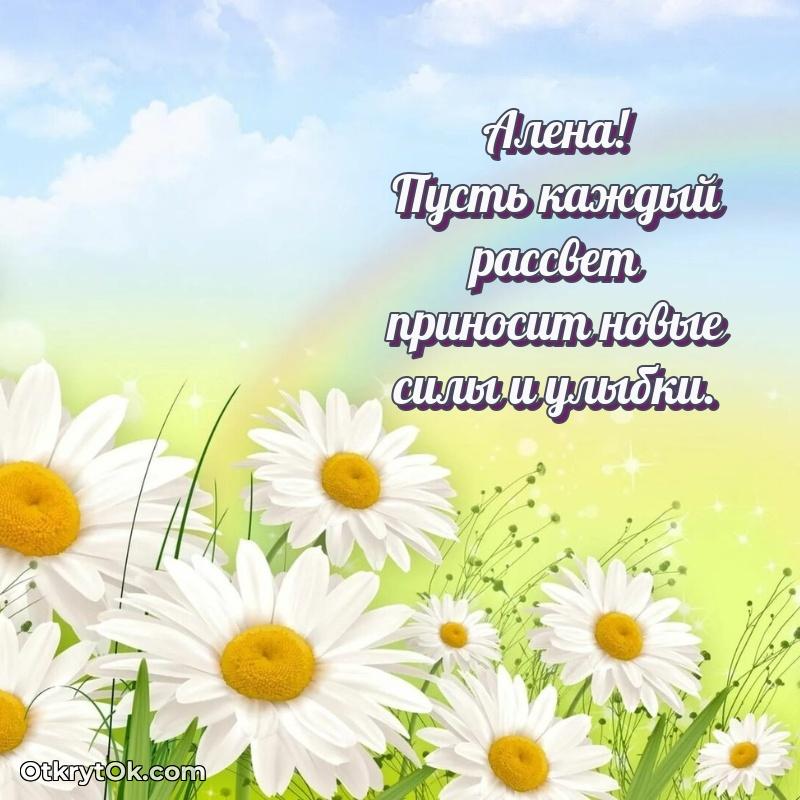 Открытка Алене праздничная человеку