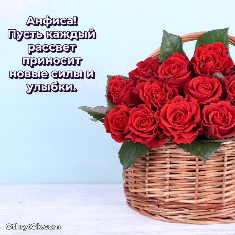 Яркая гифка Анфисе с днем рождения