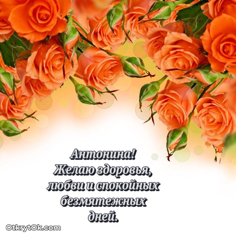 Поздравить сестру с др Антонине