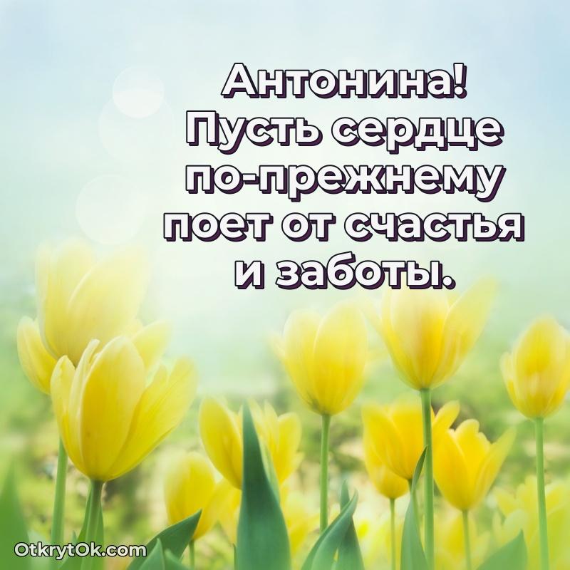 Прикольная гифка Поздравление женщине Антонине