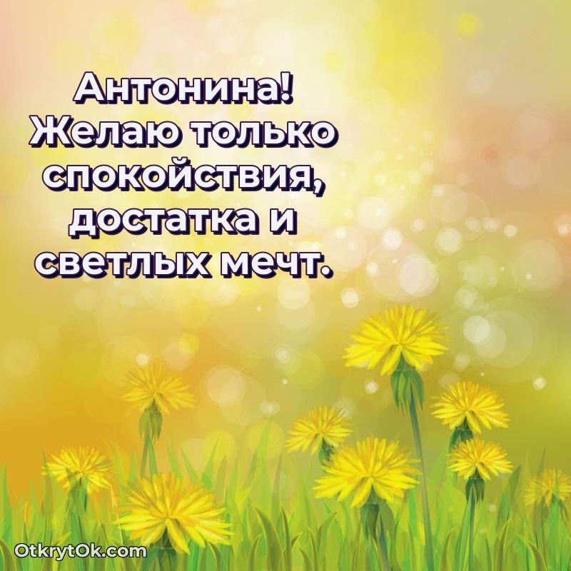 Антонина, поздравление на 77 лет