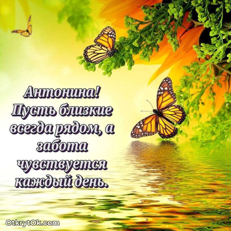 Открытка для ватсап с днем рождения Антонине