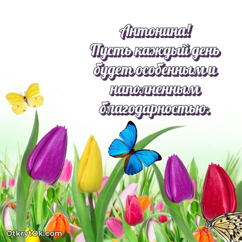 Тёплые слова Антонине