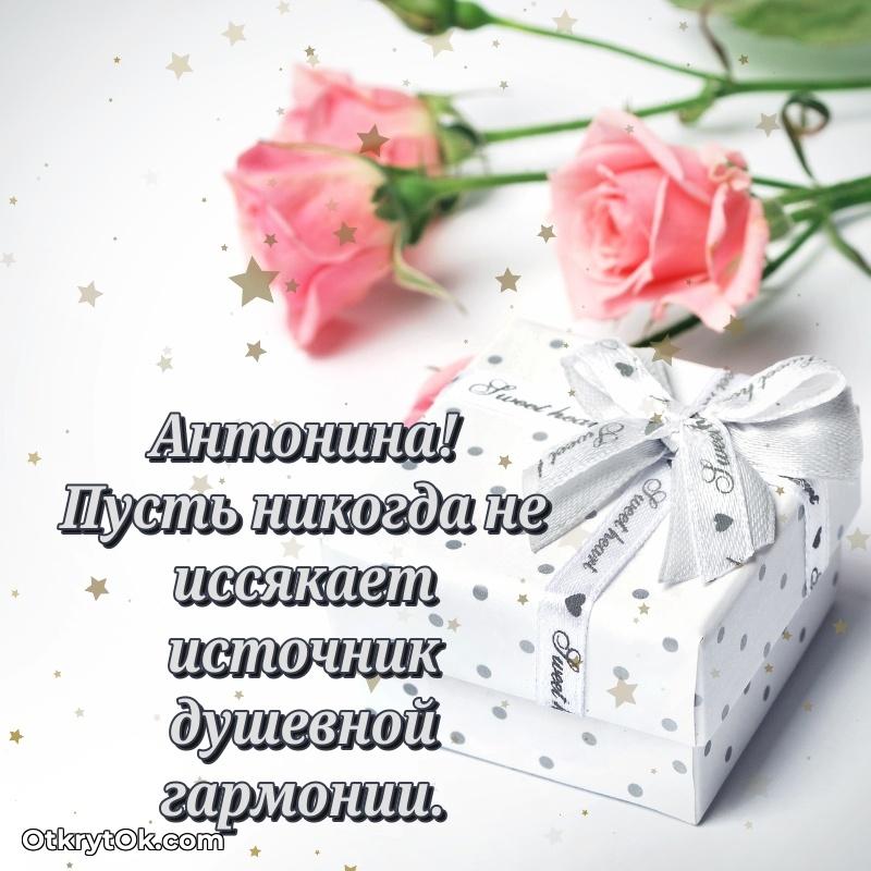 Новые открытки с днем рождения праздничные Антонине
