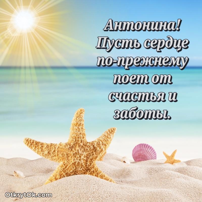 Открытка Антонине праздничная поздравление Антонине 77 лет