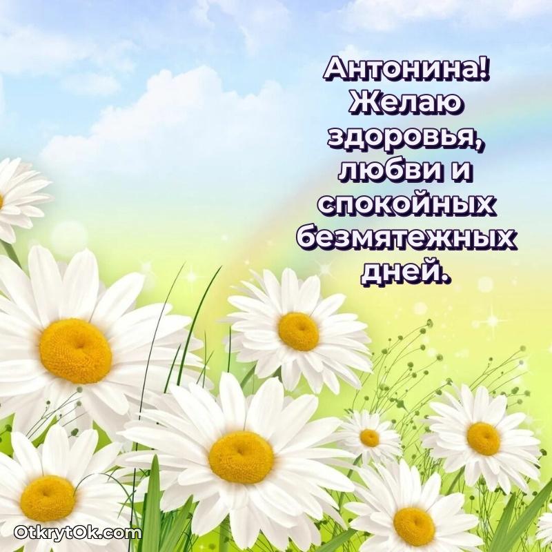 Поздравление Антонине праздничные своими словами в прозе