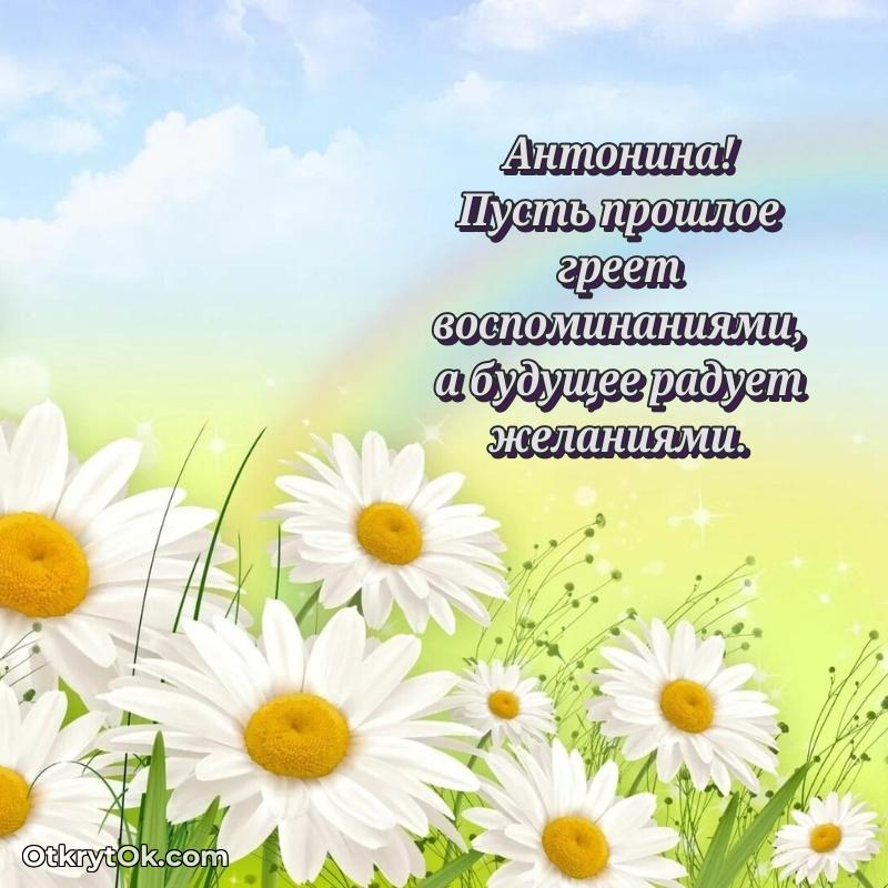 Красивая открытка — поздравление Антонине