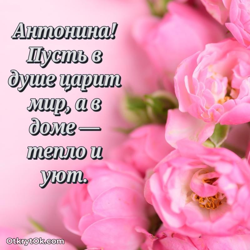 Картинка — поздравление Антонине на 77 лет