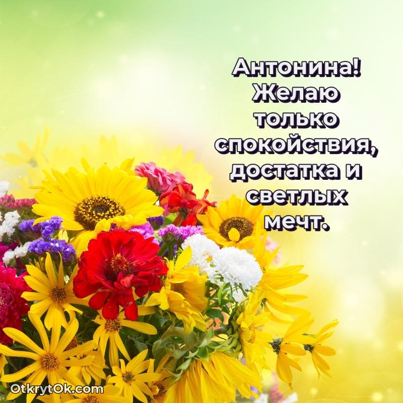 Картинка бабушке Антонине