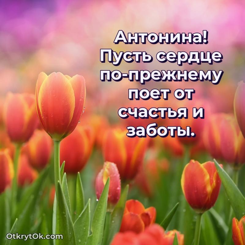 Идеи поздравлений Антонине 77 лет