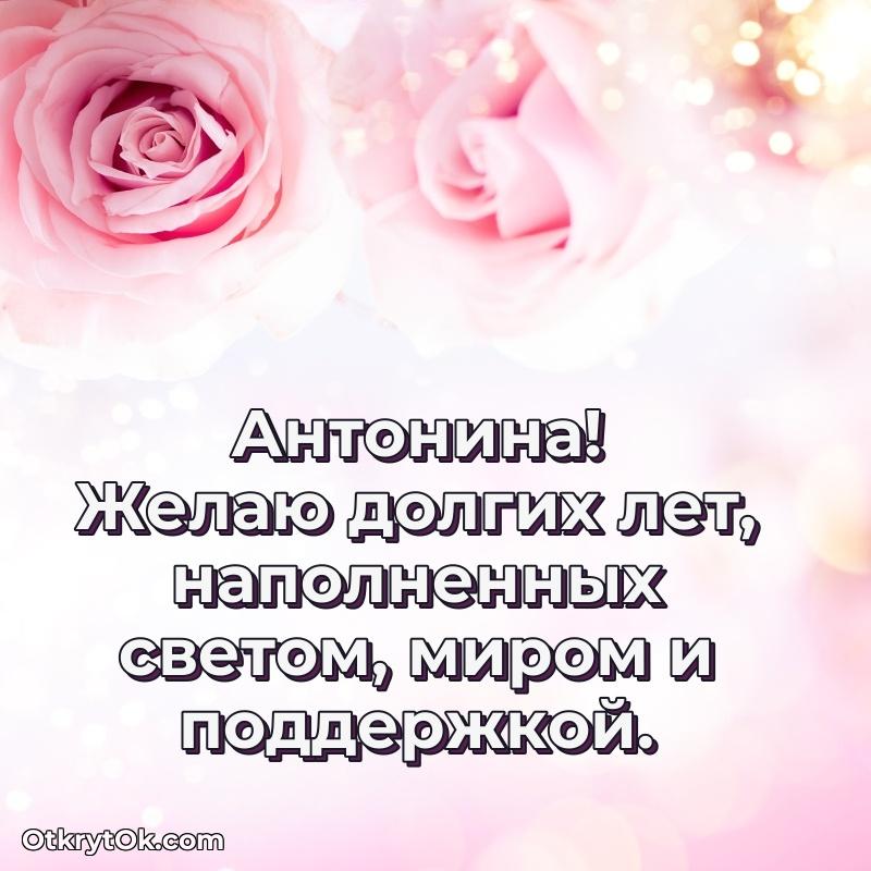 Открытка для ватсап с днем рождения Антонине