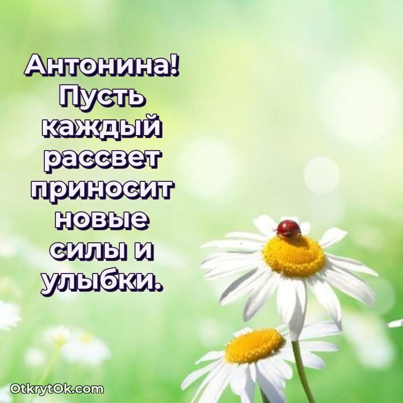 Пожелания маме Антонине