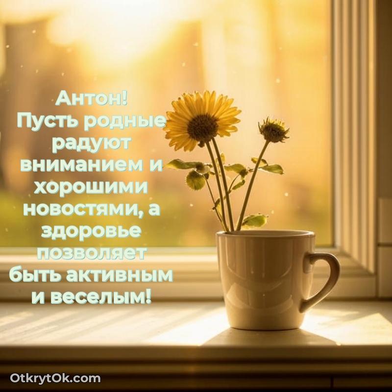 Поздравить друга с др Антону