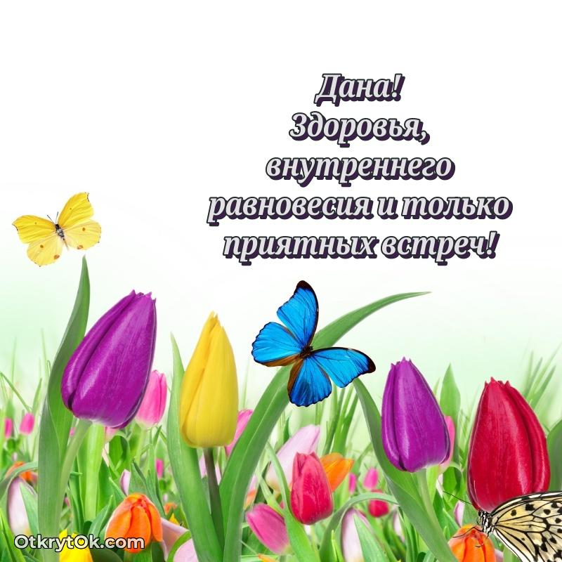 Короткое пожелание Дане