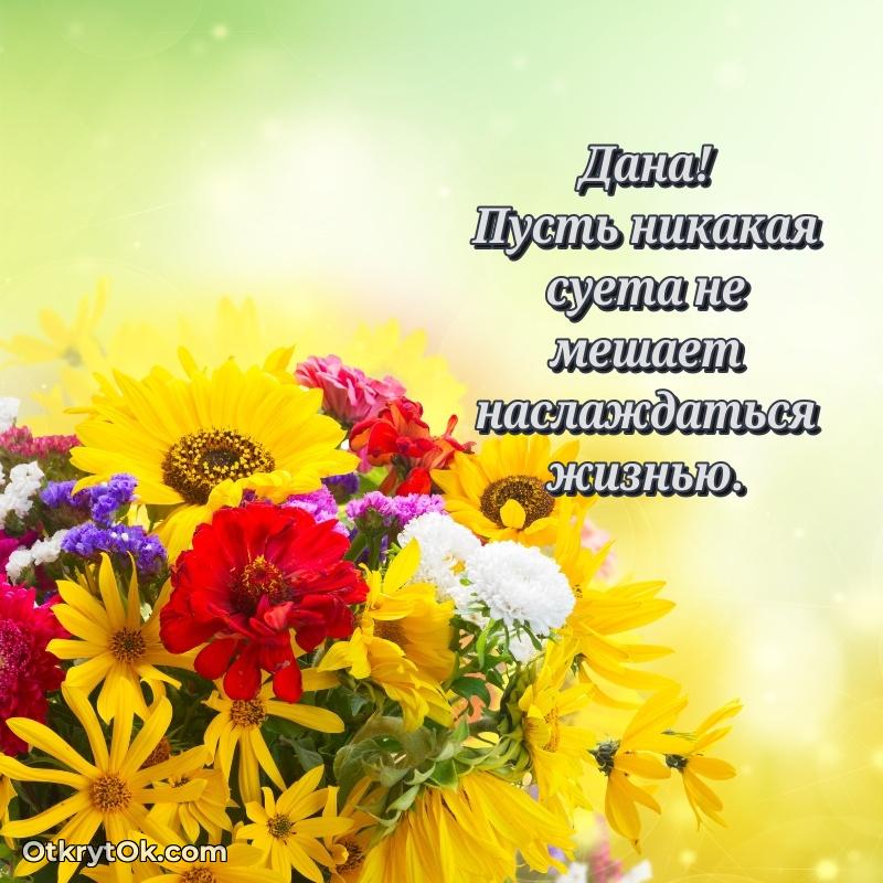 Рисунок и пожелание Дане 65 лет