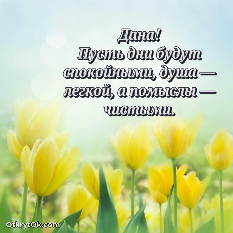 Скачать открытку Дане 65 лет