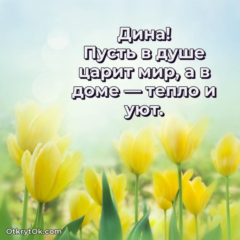 Открытка Дине праздничная