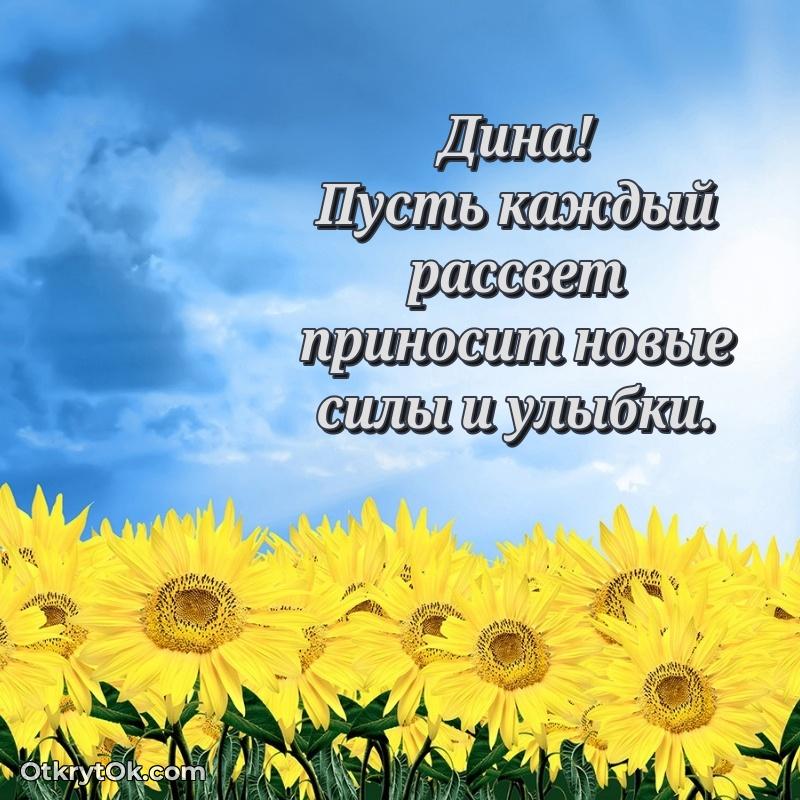 Открытка Яркая гифка Дине с днем рождения Дина